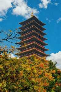 南京的朋友，聽說了嗎？2025年10月10日至11月9日期間，在南京市的市民，憑有效身份證明文件買牛首山