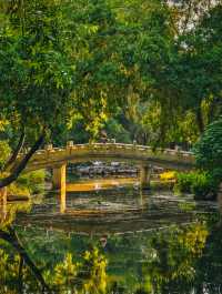 武漢這個中西合璧百年公園，我可以去一萬次！