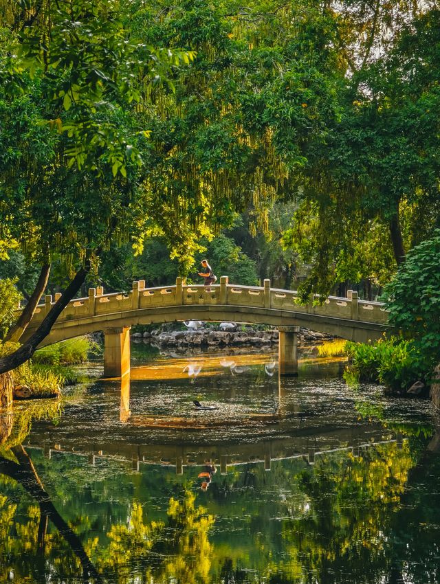 武漢這個中西合璧百年公園，我可以去一萬次！