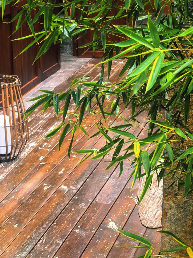 「棲野漫隅｜承包你對麗江的所有期待」