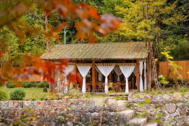安州秋日漫遊，層林盡染治癒之旅