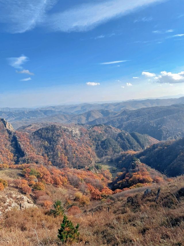 闖入秋天的油畫！木蘭圍場五道溝風景區