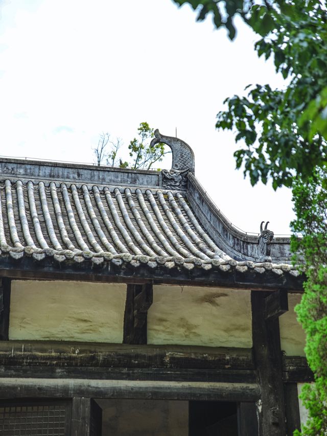 四川這座藏在村裡的元代大殿讓我破防了……
