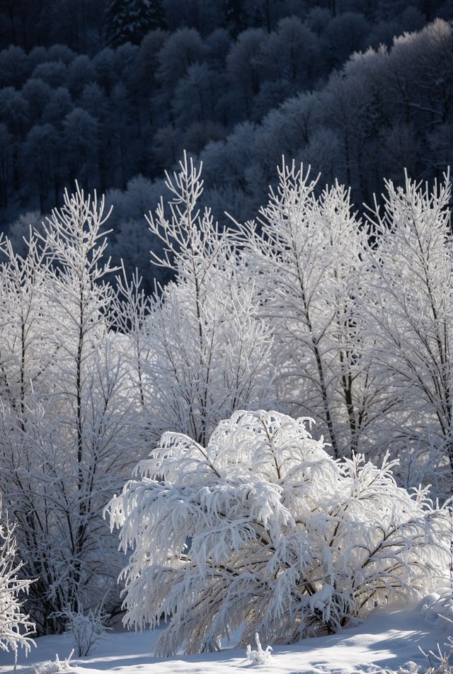 嵩山雪後必去！一秒穿越武俠仙境，美到窒息！