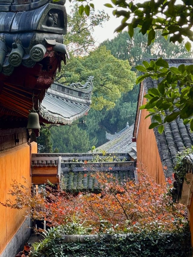 天台山秋色太絕了！這個11月必打卡的寶藏地