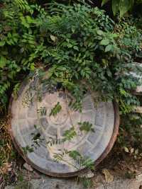 薊州西井峪的山中慢生活