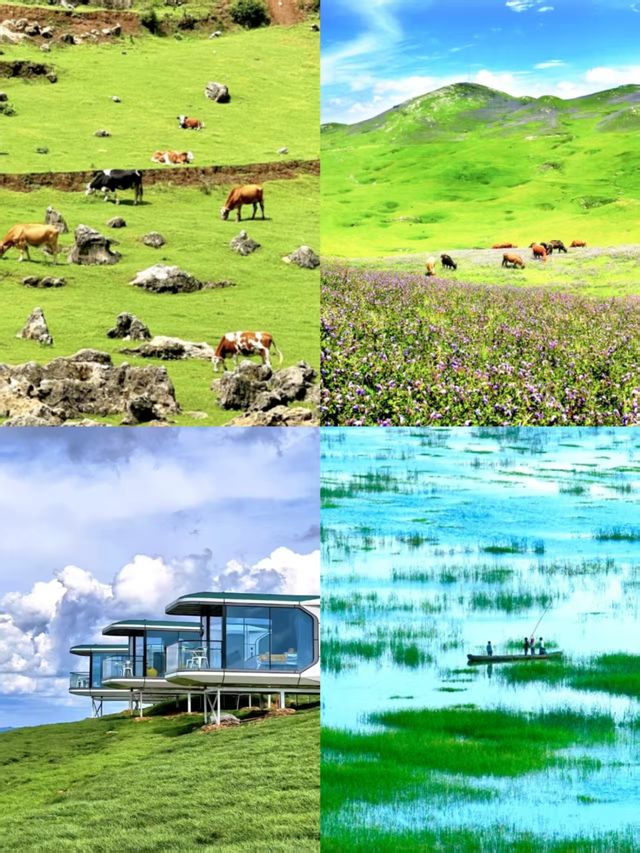 威寧草海高原上的夢幻水鄉,你去過嗎? 威寧草海高原上的夢幻水鄉,你去過嗎?