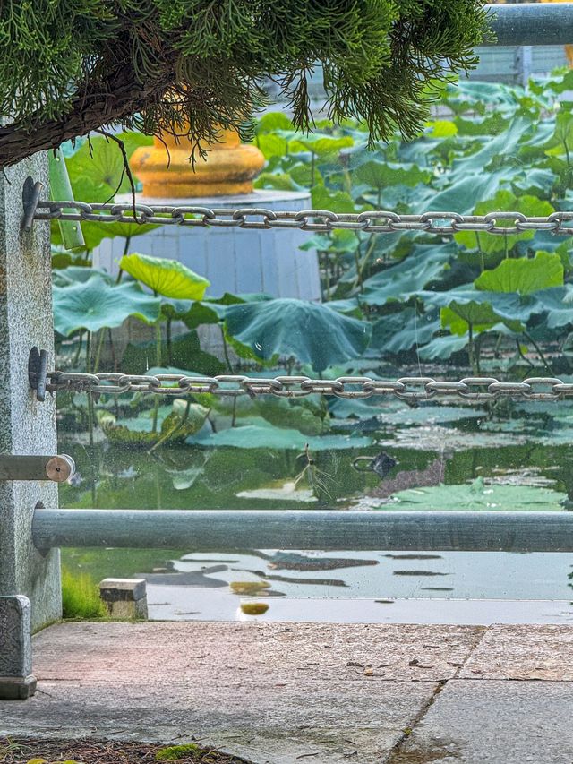 綿陽聖水寺:千年古剎的禪意時光 綿陽聖水寺:千年古剎的禪意時光