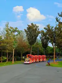 上海秋日限定浪漫，週末快衝！附攻略
