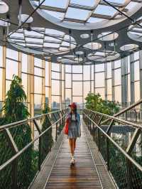 上海跟風墜成功的一次！附溫室花園打卡機位地圖