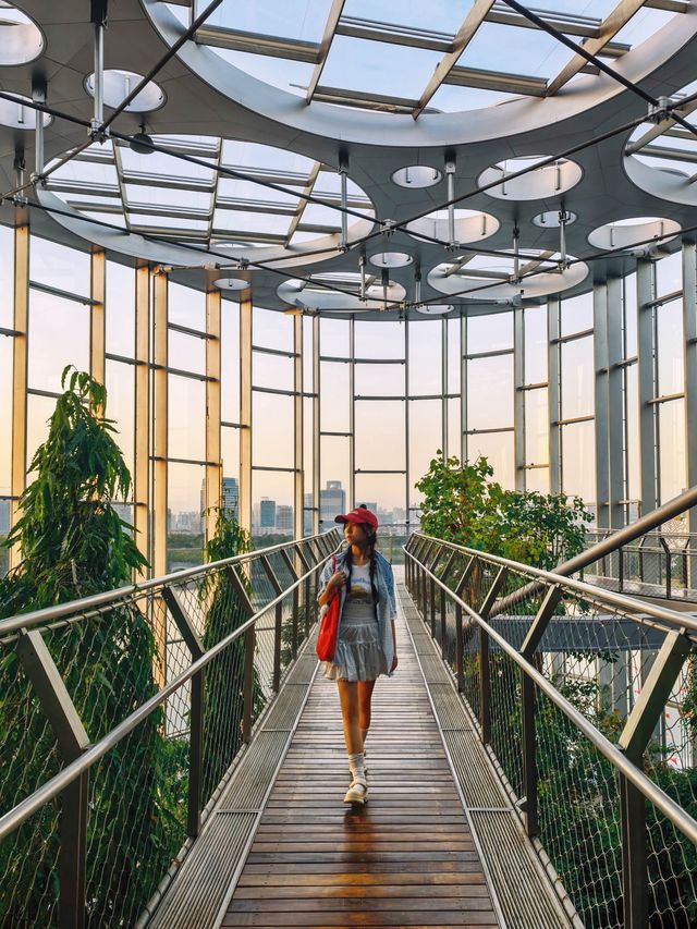 上海跟風墜成功的一次！附溫室花園打卡機位地圖