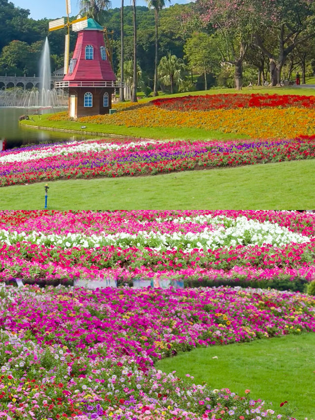 廣州 我宣佈這才是真正的花城! 廣州 我宣佈這才是真正的花城!