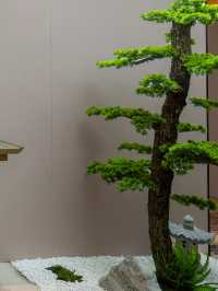 武安這間酒店讓我捨不得退房！