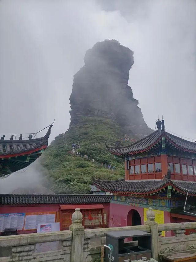 安順等地|秋天要去這份攻略快收好