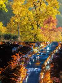 這是每年秋天我都會去一次的賞秋路線，武漢2h！