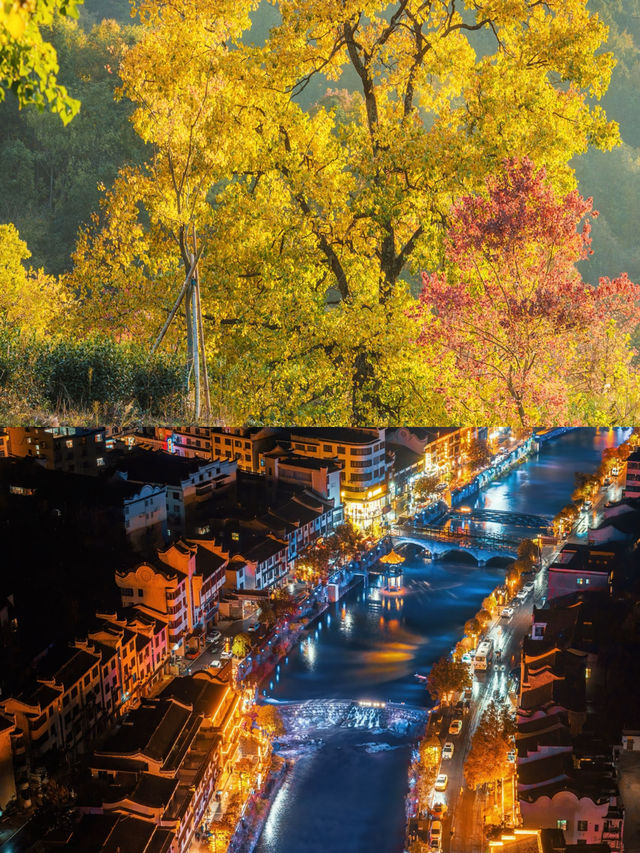 這是每年秋天我都會去一次的賞秋路線，武漢2h！