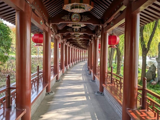 Tang Paradise: A Must-See Day & Night Experience in Xi'an