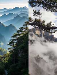 一山兩季｜河南老界嶺免票到年尾，打卡南北氣候分界線