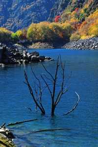 川西小眾秘境｜松坪溝的秋天美到窒息