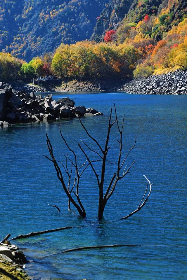 川西小眾秘境｜松坪溝的秋天美到窒息