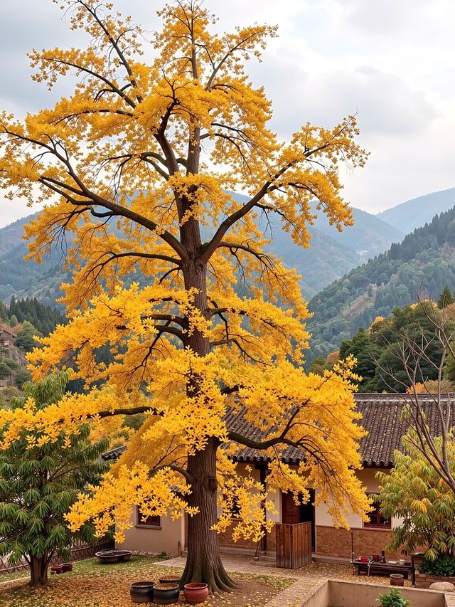 杭州臨安人少景美！指南村被我私藏了～江南版“喀納斯”超驚艷?