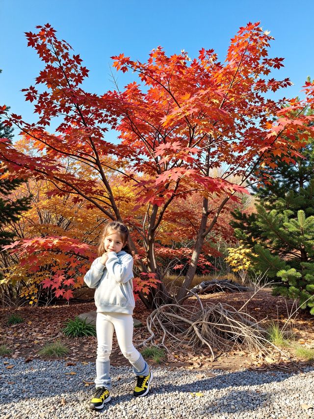 北京人絕不告訴你！私藏0元紅葉秘境曝光