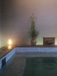 週末自駕莫干山帶毛孩子一起撒歡