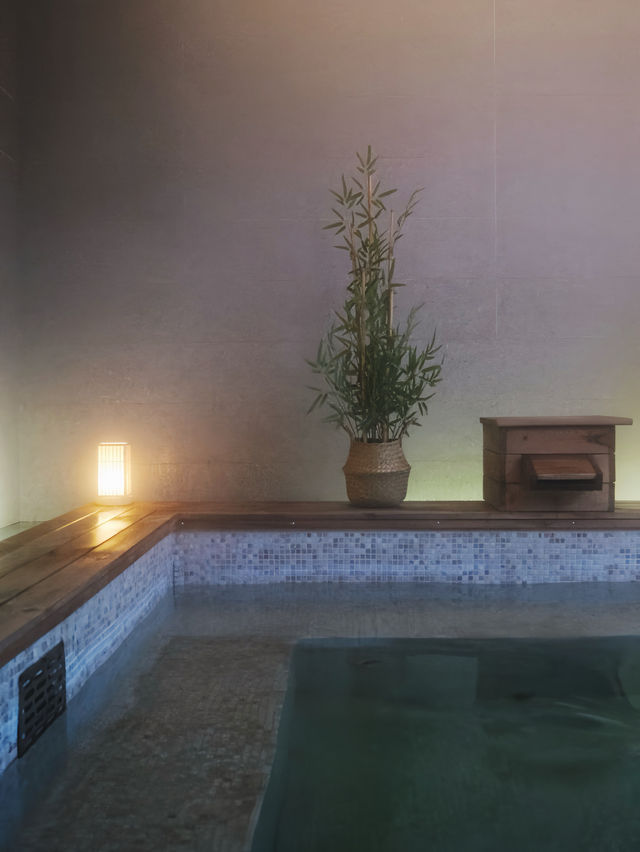 週末自駕莫干山帶毛孩子一起撒歡