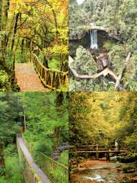 疊翠溪集翠溪森林奇景於一體的旅遊寶藏地