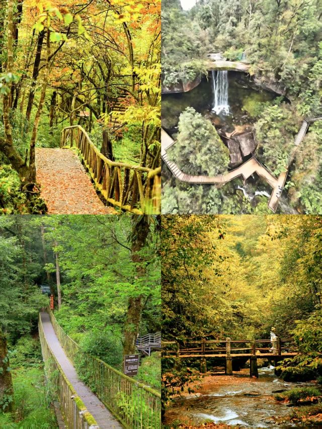 疊翠溪集翠溪森林奇景於一體的旅遊寶藏地