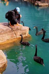 暮秋初冬的雲台山，是藏不住的治癒感