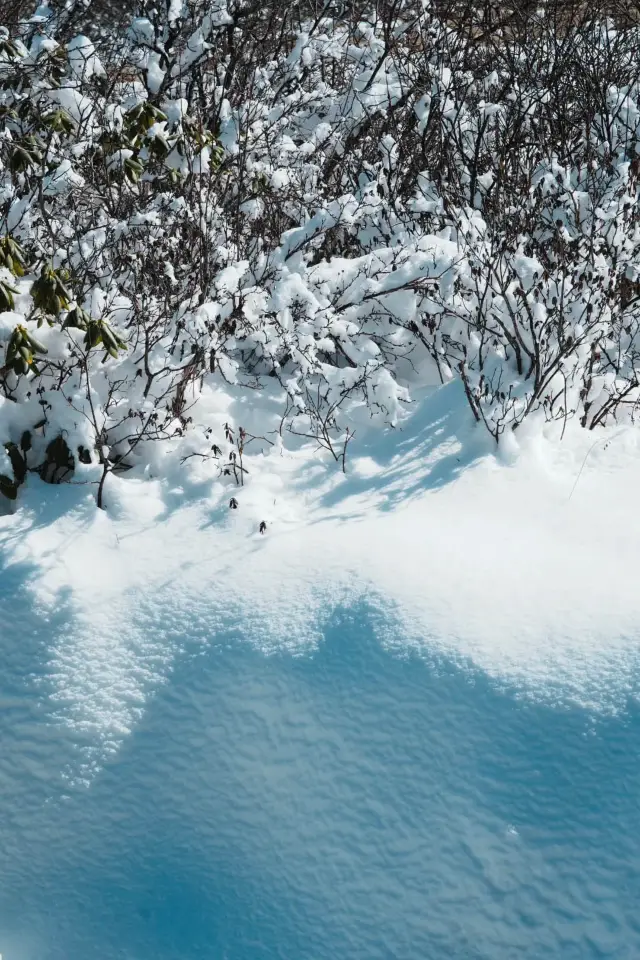 Four Important Tips for Visiting Huanglong｜Warm Reminder Edition