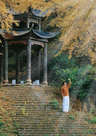 Millennium Ginkgo Valley, this should be the ultimate place to admire ginkgo trees. If I were to recommend a great spot for ginkgo viewing, it would be here, Suizhou Millennium Ginkgo Valley.