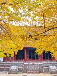 為了這扇秋日限定的窗，我專門去了趟崇州