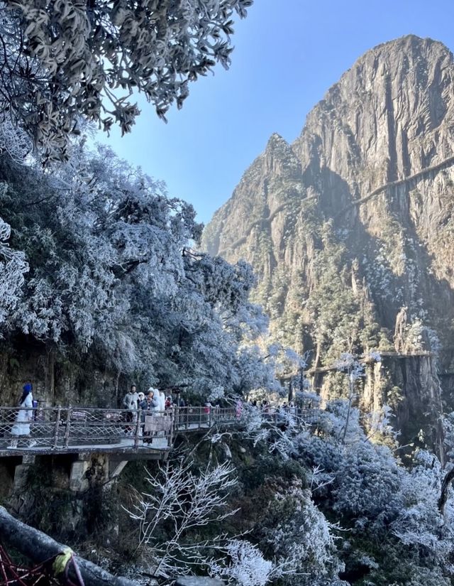 誰懂啊！莽山2025首場霧凇美哭😭 住呢間民宿直接瞓喺度睇冰雪仙境