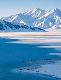 4天3晚夢幻伊犁之旅】人均2500私藏小眾路線&拍照攻略