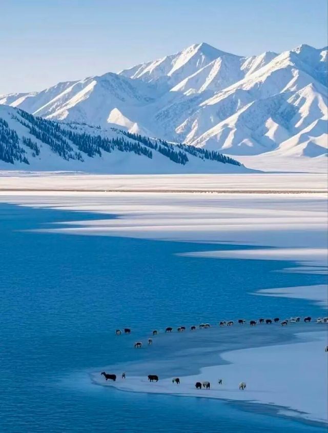 4天3晚夢幻伊犁之旅】人均2500私藏小眾路線&拍照攻略