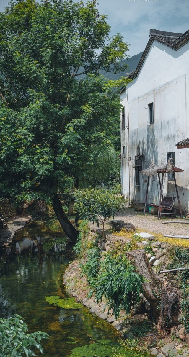 杭州龍門古鎮:景色醉人的江南秘境