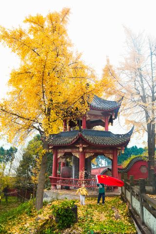 金堂龔家山•成都1h•帶娃徒步|新手友好附攻略