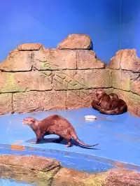 目測會成為泉州下一個No.1