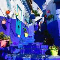 15天埃及等多國連遊保姆級攻略來啦