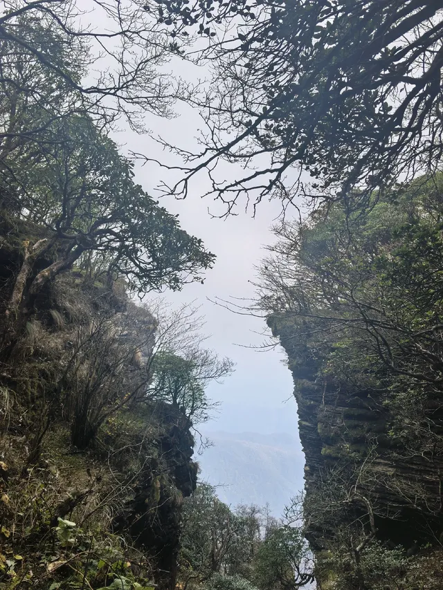 登頂梵淨山坐了最暈車的景交車