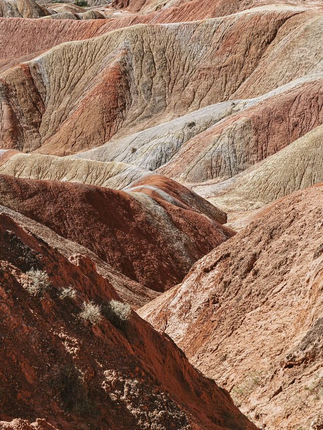 8日深度遊酒泉等地不聽勸真的會後悔一輩子 8日深度遊酒泉等地不聽勸真的會後悔一輩子