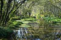 不擠的皖南才香：謎窟+古村的閒庭驚喜