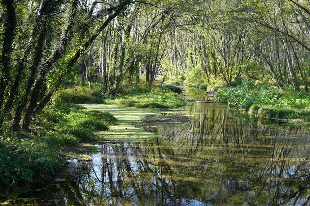 不擠的皖南才香：謎窟+古村的閒庭驚喜