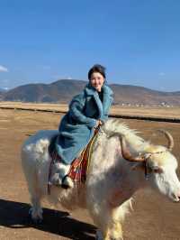 晴空下的香格里拉漫步-還有可以騎