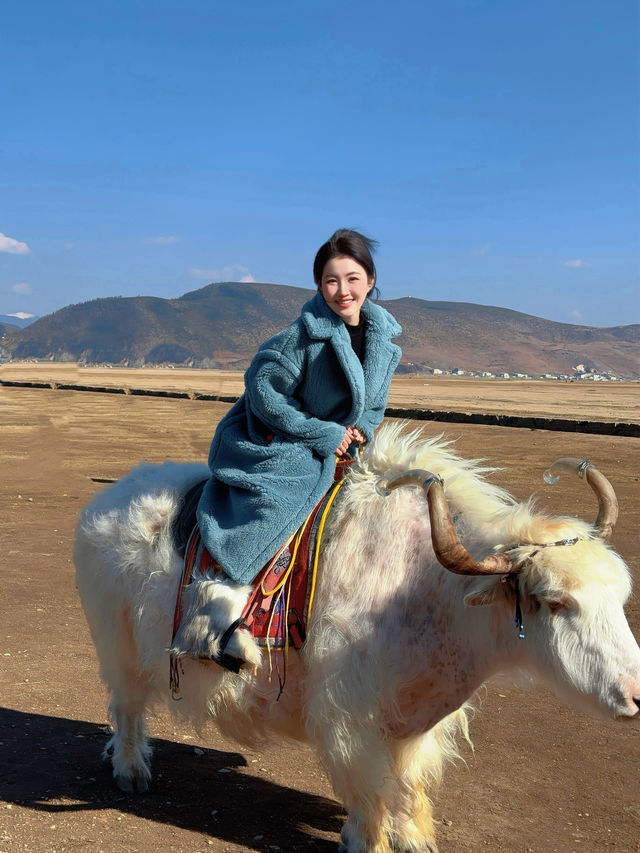 晴空下的香格里拉漫步-還有可以騎