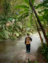 廈門植物園鐘鼓索道懶人版