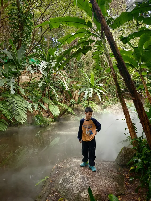 廈門植物園鐘鼓索道懶人版 廈門植物園鐘鼓索道懶人版