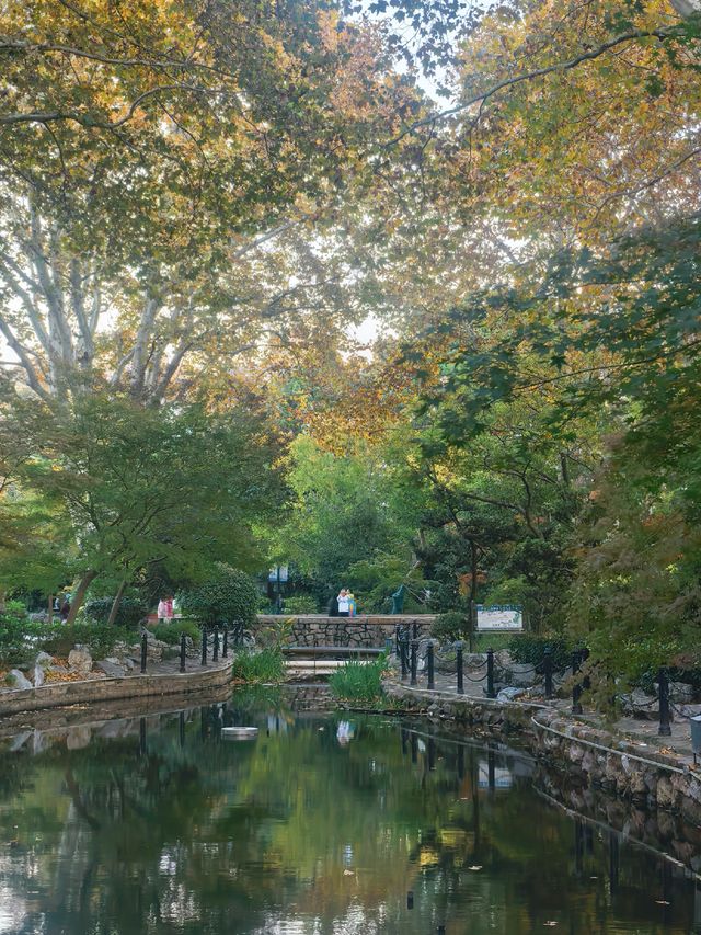 上海 · 魯迅公園 上海 · 魯迅公園
